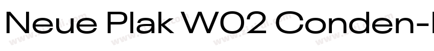 Neue Plak W02 Conden字体转换